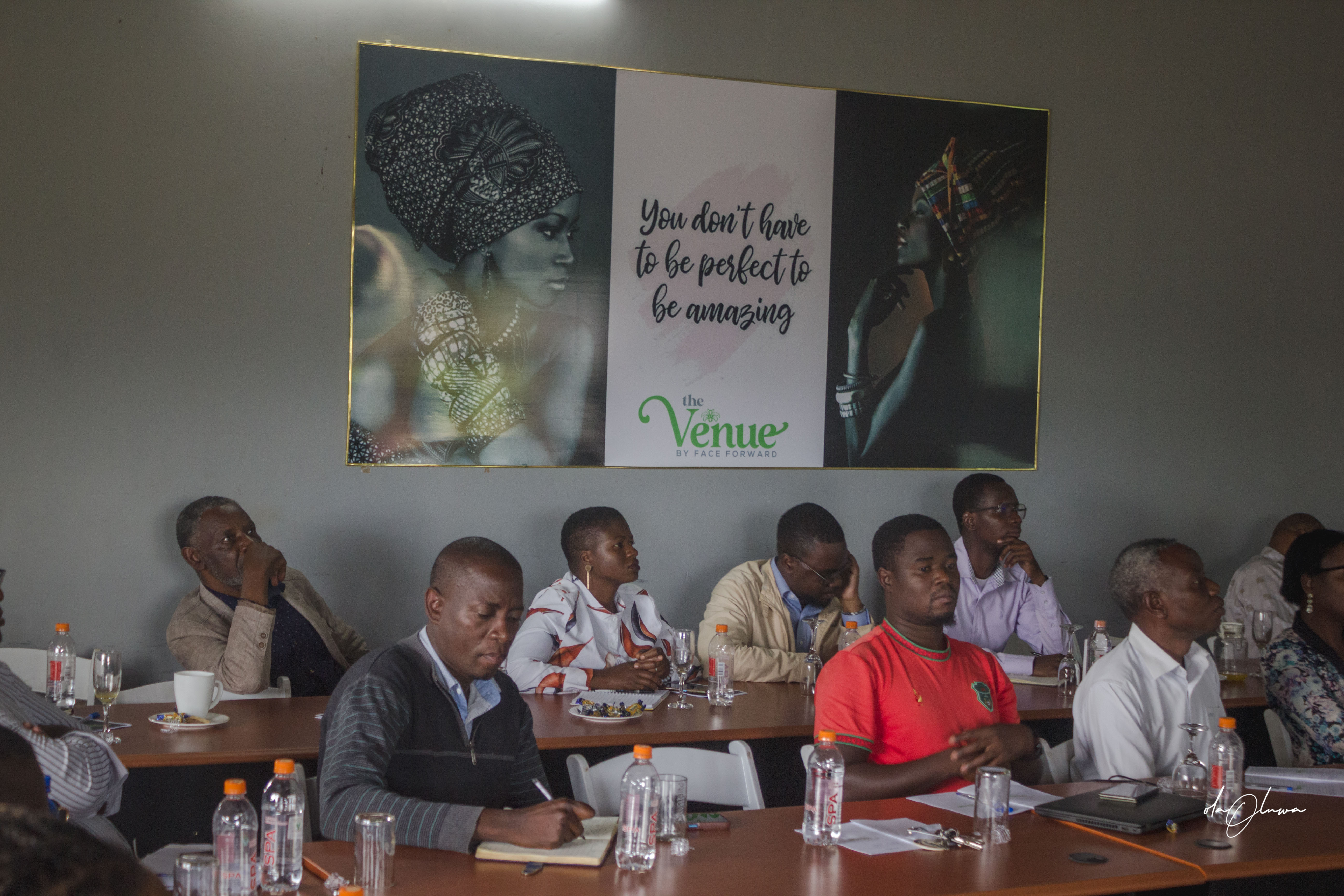 Investment Readiness: Training of Trainers - Tools & Techniques, Lilongwe - photo 31